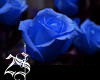 ~2S~ blue rose