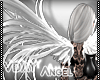 [CS] Silver Wings .F