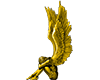 Golden Angel R