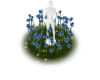 cornflower  add-on