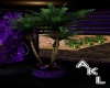 purple potted palm tree