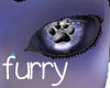 Furry Eyes