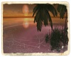Beach Hearth