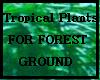 Tropical Plants floor