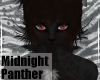 MidnightPanther-F NckFur