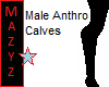 HB Male Anthro Calves