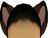 Brown Racoon Ears