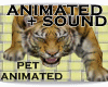 TIGER PET + SOUND F/M