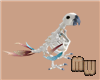 Skeleton Parrot Pet - F