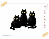 My Halloween Black Cats