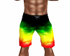 Rasta Boardshorts