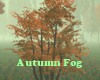 Autumn Fog Tree Light