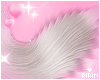 Kitty Tail + Pink Bow