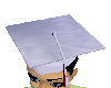 light blue grad..hat