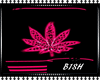 `BB` Rave Weed Pink