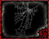 [ML]Spiderweb