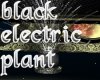 black electric plant