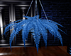 Blue Fern