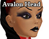 Avalon Head