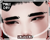 *L* DRV Brows V3
