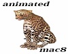 Leopared Animated