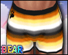 B | Pride Bear Shorts