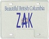 {V} Zak Licence Plate