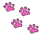 pink, cat print