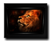 Lions Picture