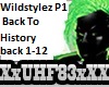 Wildstylez History P1