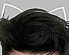 Cat Ears