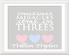 Trillion Triplets