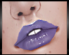 Æ A.Lips.3
