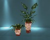 Tiled Vase Plant Set