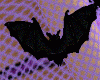 Bats 