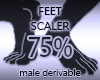 Foot Scaler Resize 75%