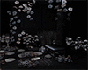 DARK FLOWER PHOTOROOM