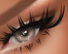 💄LUX LASH