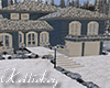 Custom Winter House