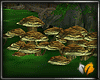(ED1)mushroom