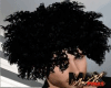 Curly Fro Black