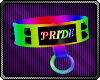 D| Pride Collar M