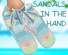 Sandals In The Hand