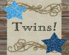 -B- Baby Twins Poster
