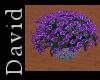 Purple Rose Basket