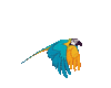 Animated Parrot