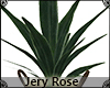 [JR] Plant Decor
