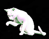 ! Animated White Cat ~
