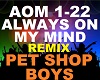 Pet Shop Boys - Always