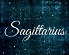 Sagittarius Hair V2 F